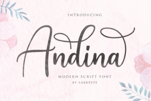 Andina Script: A Modern Script Font That Elevates Your Brand