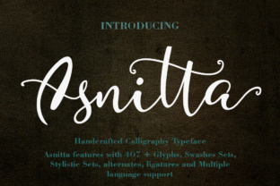Asnitta: A Playful Script Font That Makes Your Brand Feel Like Home