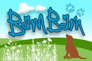 BamBam: A Playful Handwritten Font for Handmade Charm
