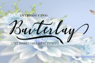 Bavterlay: A Modern Script Font That Builds Brand Connection