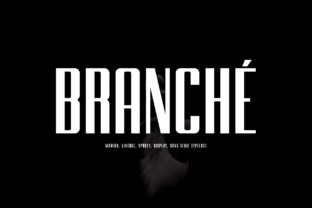 Branche: A Clean Sans Serif Font for Professional Branding