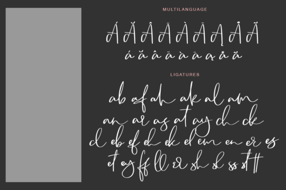 Camsay: A Handwritten Font That Builds Trust for Small Businesses
