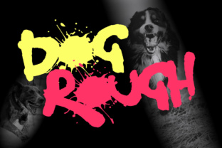 Dog Rough: A Graffiti-Inspired Typeface for Bold Editorial Moments