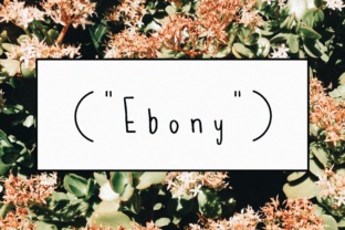 Ebony: A Handwritten Typeface That Feels Like a Warm Welcome