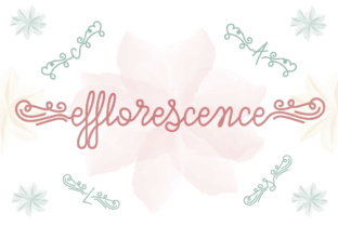 Efflorescence: A Script Font That Elevates Campaign Headlines