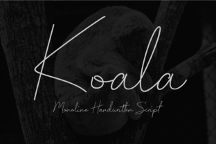 Koala Script: A Handwritten Font That Converts