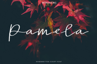 Pamela Script: A Handwritten Font That Elevates Digital Branding