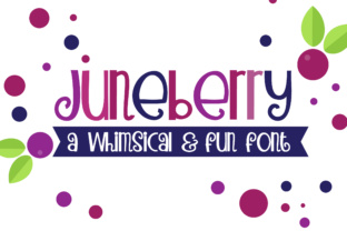 PN Juneberry: A Whimsical Script Font for Handmade Labels & Printables