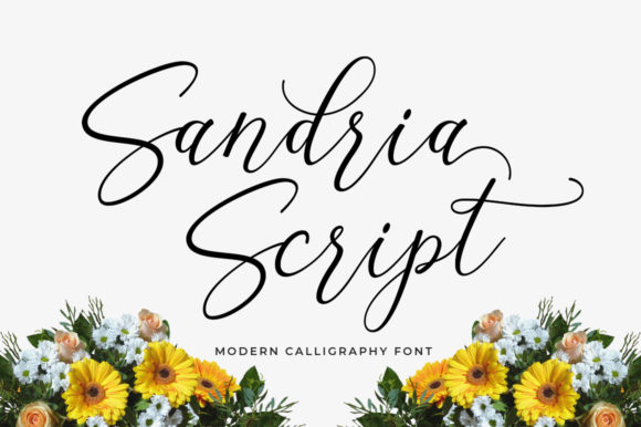Sandria Script: A Feminine, Trendy Typeface for Handmade Labels & Printables