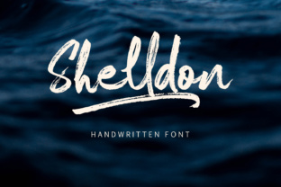 Shelldon: A Handwritten Font with Quiet Confidence