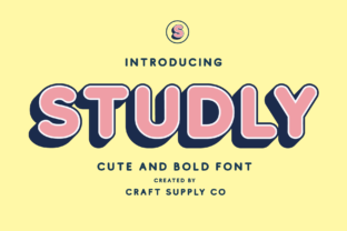 Studly Family: A Bold, Versatile Sans Serif for Digital Branding