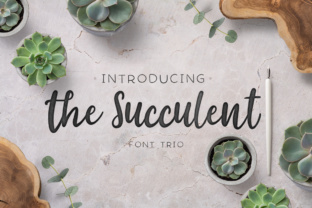 The Succulent Trio: A Feminine, Earthy Script Font for Real Branding