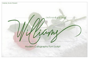 Williams: A Bold Script Font That Feels Like Hand-Drawn Confidence